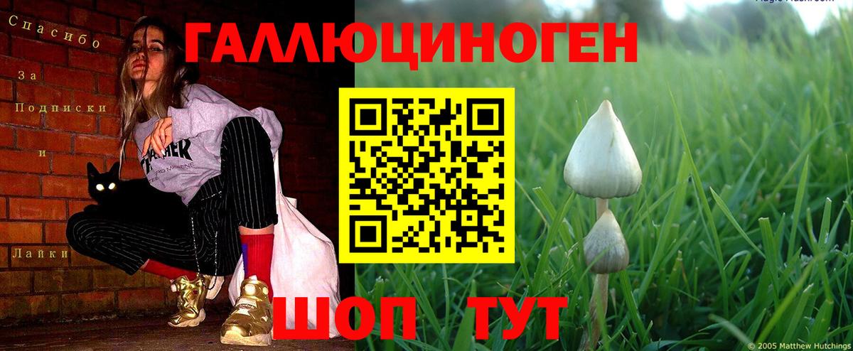 Псилоцибиновые грибы мухоморы Гулькевичи